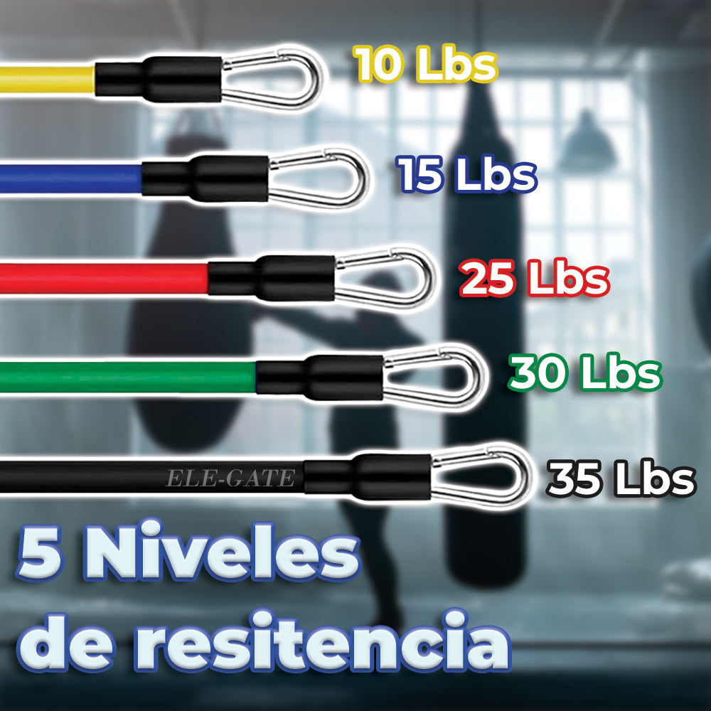 Juego de bandas de resistencia con asas