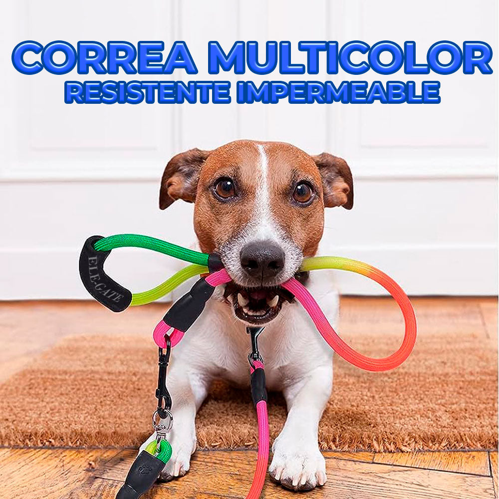 Correa antitirones para perro mediano o grande
