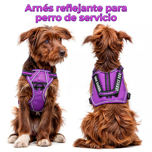Arnés para perro ajustable con asa y correas reflectantes