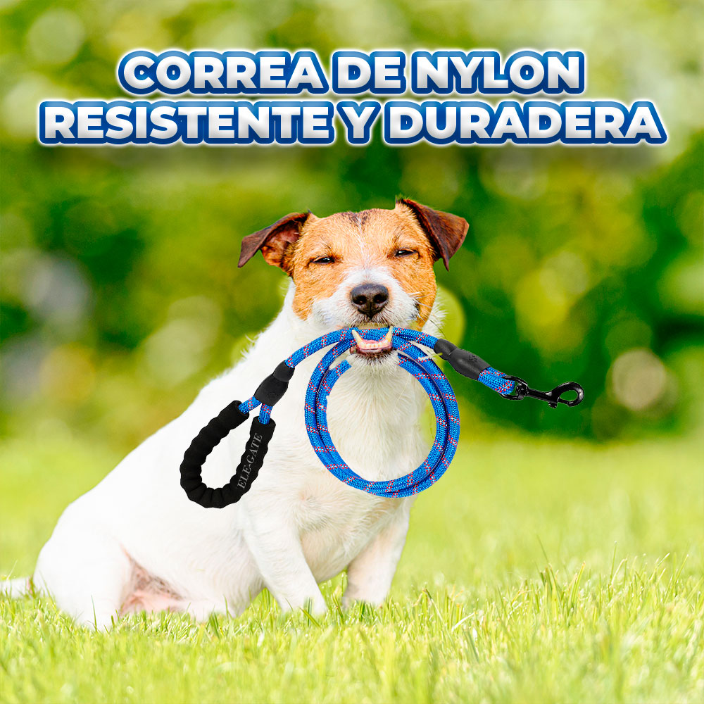 Correa reflectante de 2 metros con asas dobles