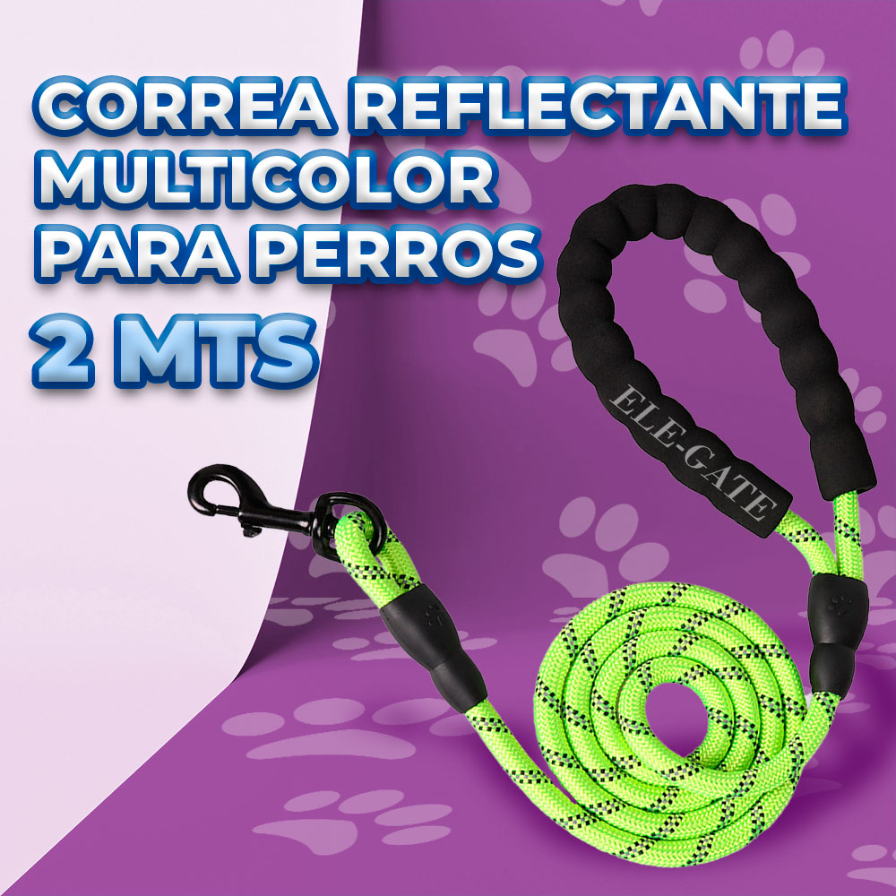 Correa reflectante de 2 m con asas dobles para perro