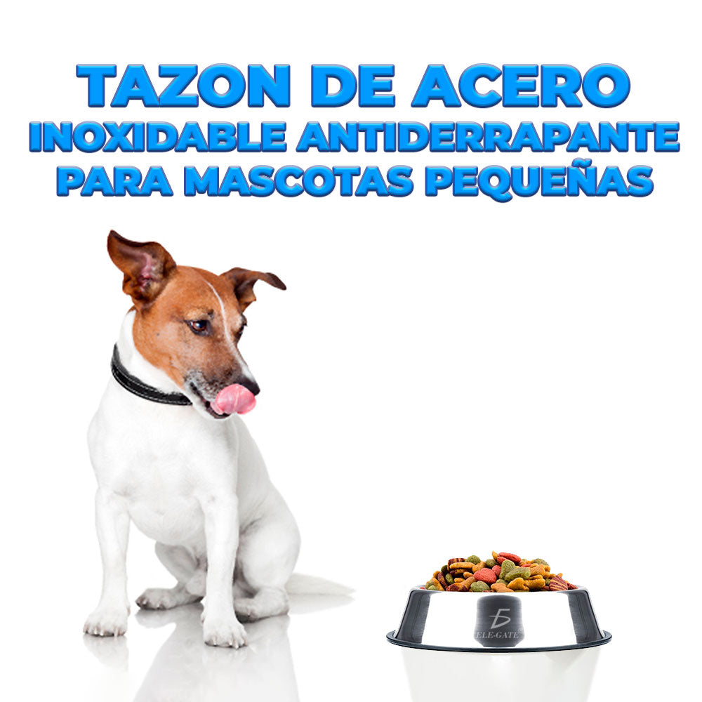 Set de 2 platos de acero inoxidable para mascotas