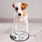 Set de 2 platos de acero inoxidable para mascotas
