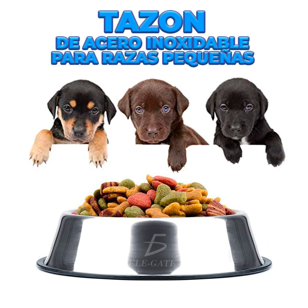 Set de 2 platos de acero inoxidable para mascotas