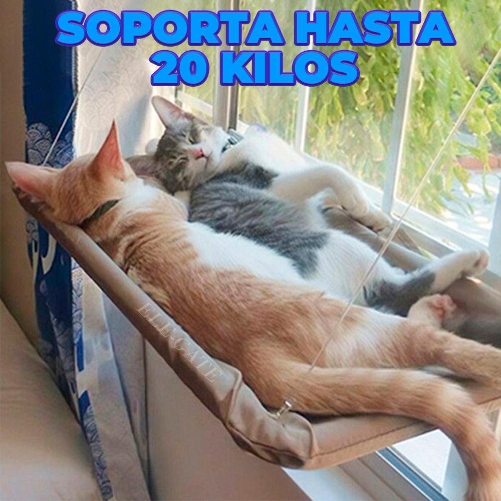 Hamaca de ventana con ventosas para gatos