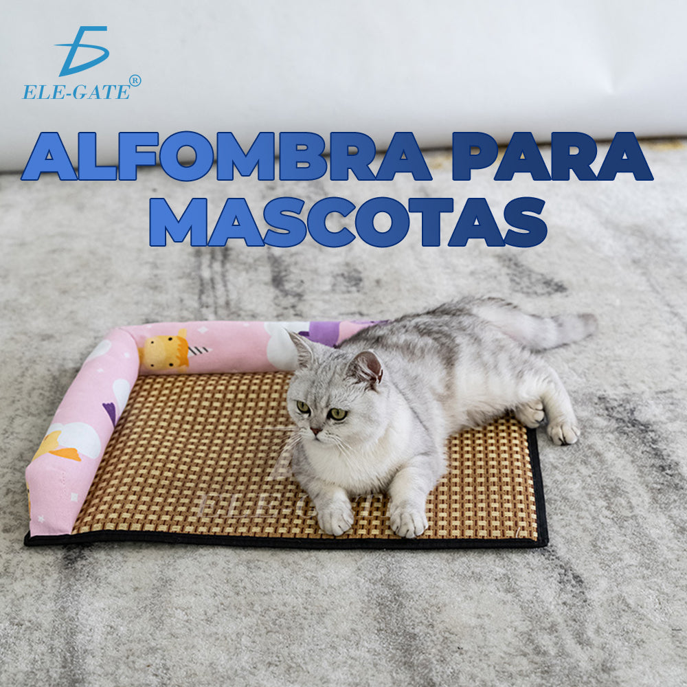 Tapete de ratán con almohada para mascotas