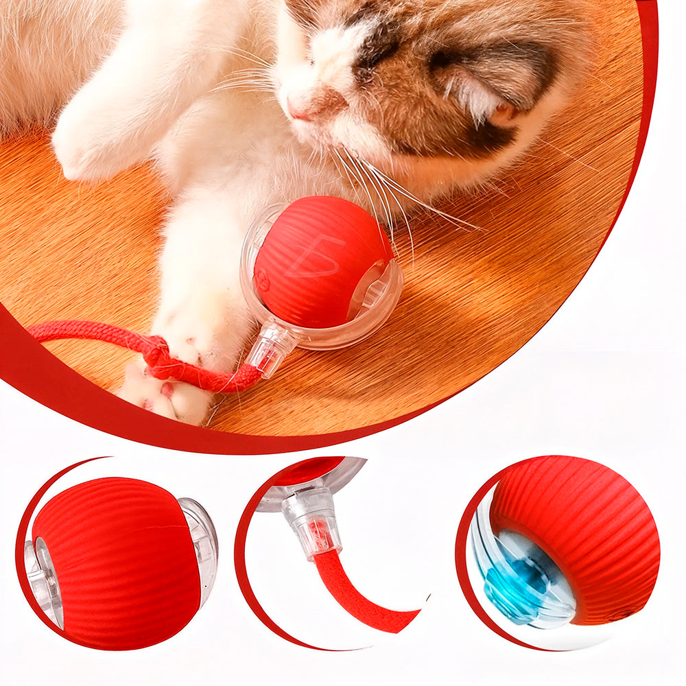 Pelota interactiva automática 360° para perros y gatos