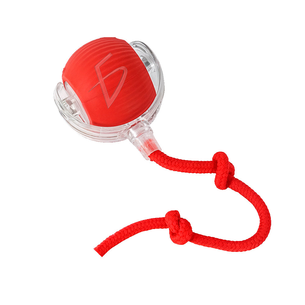 Pelota interactiva automática para perros y gatos