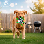 Pelota de fútbol con correas para perro