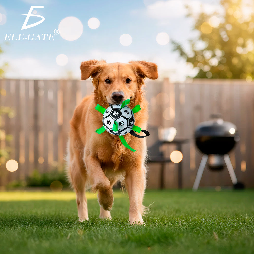 Pelota de fútbol con correas para perro
