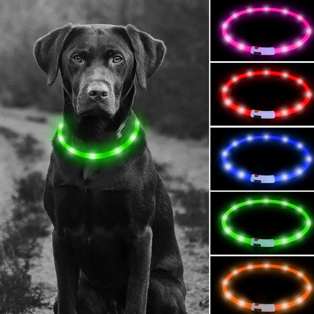 Collar con luz LED recargable por USB, talla L