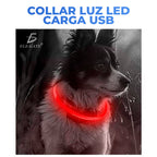 Collar con luz LED para mascota