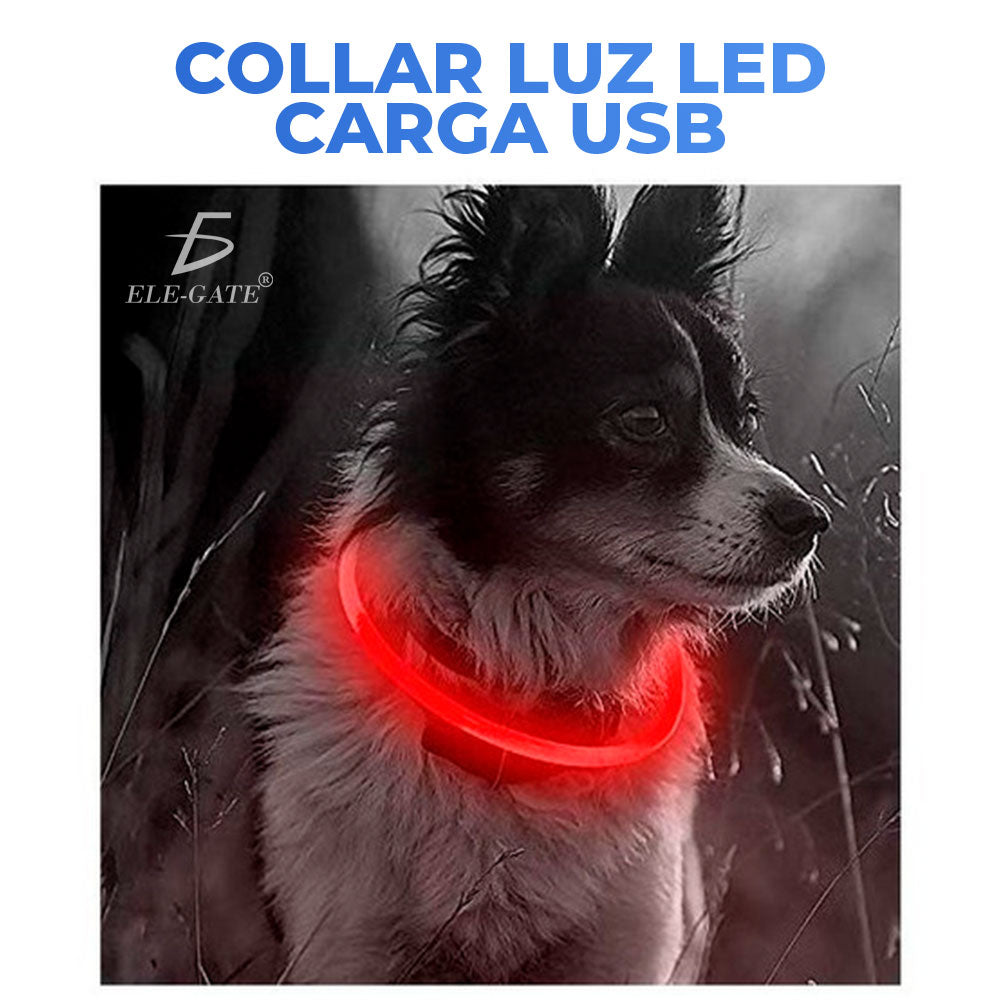Collar con luz LED para mascota