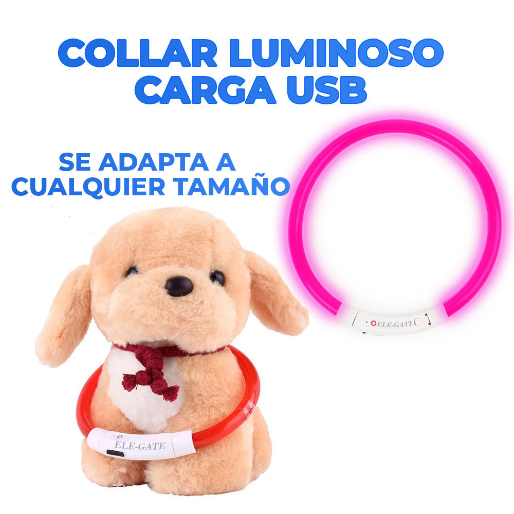 Collar con luz LED recargable por USB, talla L