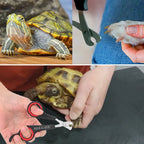 Corta Uñas para Mascotas Pequeñas