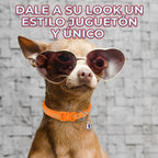 Collar Ajustable con Cascabel para Mascota — imagen 3