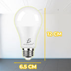Paquete de 10 focos LED de 9 W